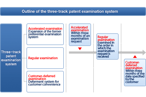 outline of the three-track examination system